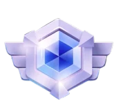 DU88 medal