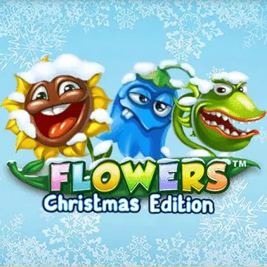 DU88 Flowers Christmas Edition